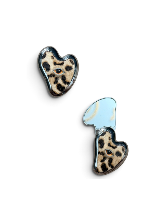 Heart Mirror